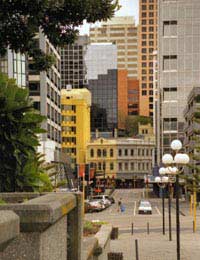 Work Working New Zealand Recruitment